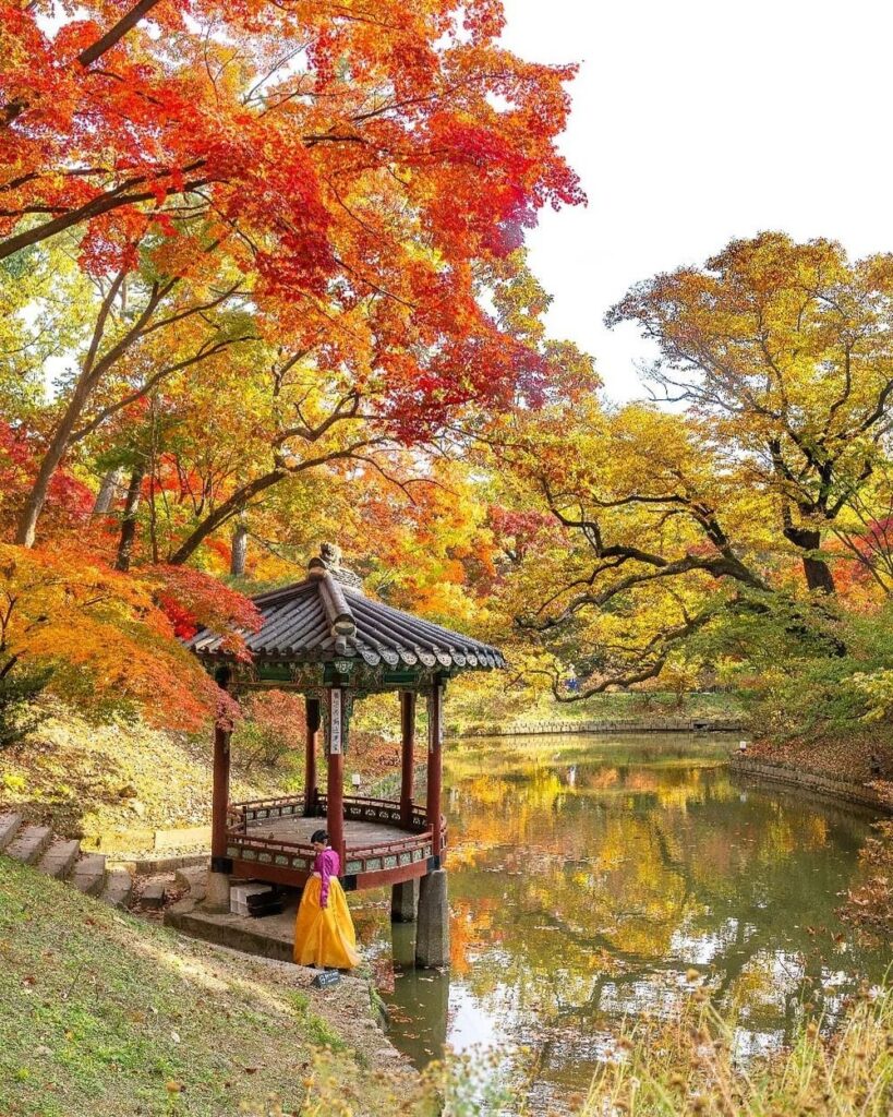 Gunung Seorak korea afiyah tour & travel autumn foliage