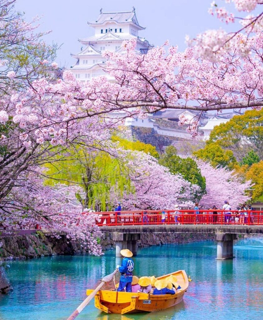 liburan ke jepang murah di jakarta afiyah travel & tour