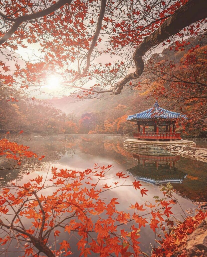 wisata ke nami island korea selatan afiyah tour & travel
